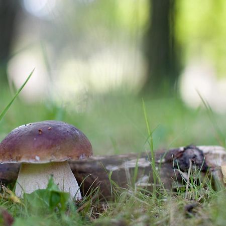 Rodinny Penzion U Wolfu Chrastava Exterior foto